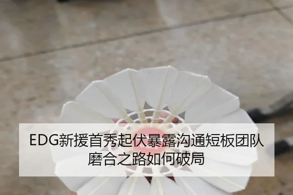 EDG新援首秀起伏暴露沟通短板团队磨合之路如何破局